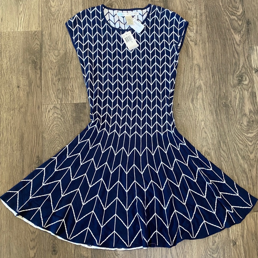 NWT Neiman Marcus Max Studio skater sweater dress